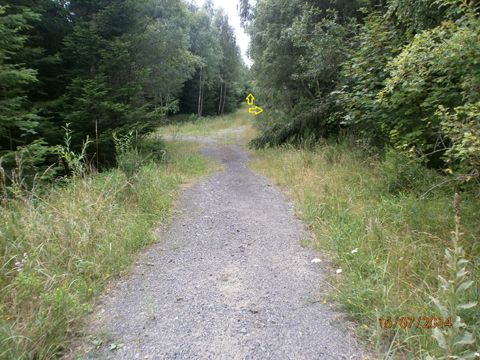 Foto 54